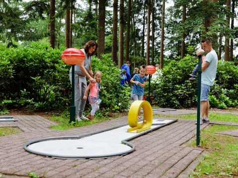 Parc de vacances RCN De Roggeberg - Camping Ooststellingwerf - Image N°12