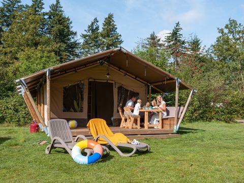 RCN Vakantiepark De Roggeberg - Camping Ooststellingwerf - Afbeelding N°0