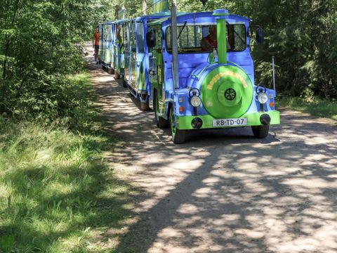 Parc de vacances RCN De Roggeberg - Camping Ooststellingwerf