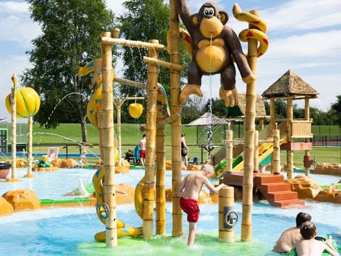 RCN Vakantiepark Zeewolde - Camping Zeewolde - Afbeelding N°3