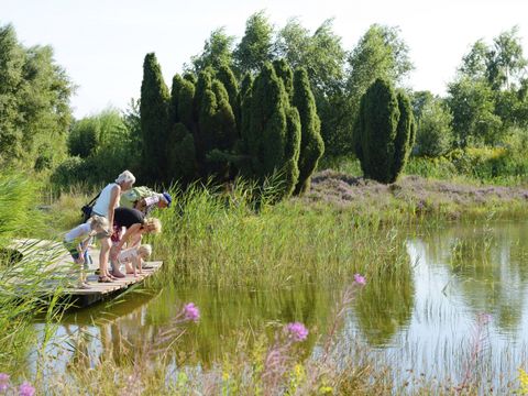 RCN Vakantiepark de Noordster - Camping Westerveld - Image N°2