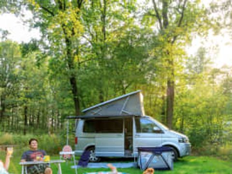 RCN Vakantiepark de Noordster - Camping Westerveld - Image N°50