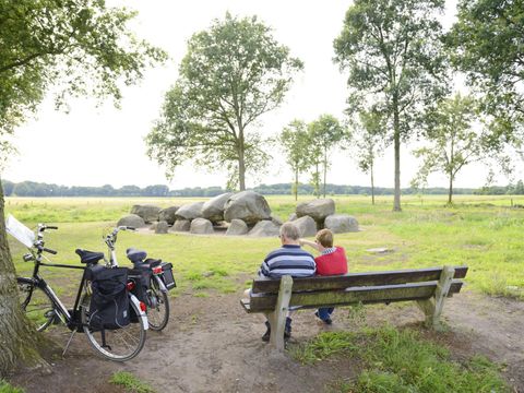 RCN Vakantiepark de Noordster - Camping Westerveld - Image N°32