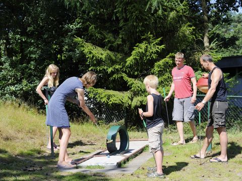 RCN Vakantiepark de Noordster - Camping Westerveld - Image N°21