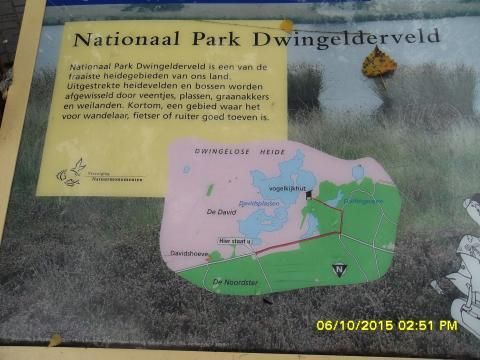 RCN Vakantiepark de Noordster - Camping Westerveld - Image N°11