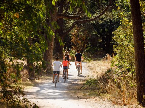 RCN Vakantiepark het Grote Bos - Camping Utrecht - Image N°7