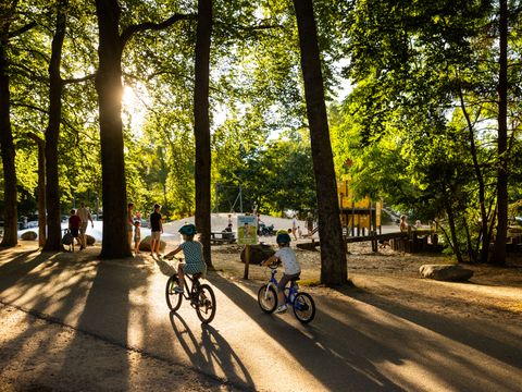 RCN Vakantiepark het Grote Bos - Camping Utrecht - Image N°2