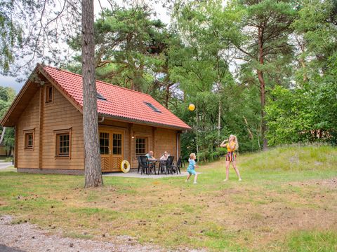 RCN Vakantiepark het Grote Bos - Camping Utrecht - Image N°14