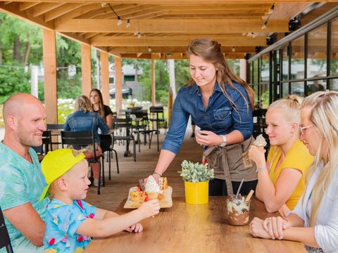 RCN Vakantiepark het Grote Bos - Camping Utrecht - Image N°3