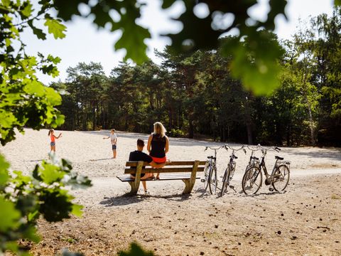 RCN Vakantiepark het Grote Bos - Camping Utrecht - Image N°10