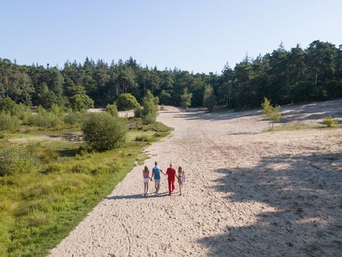 RCN Vakantiepark het Grote Bos - Camping Utrecht - Image N°28