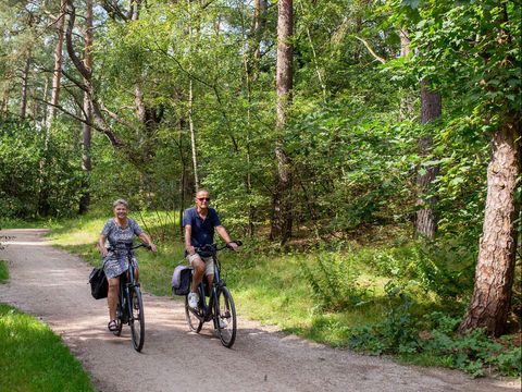 RCN Vakantiepark het Grote Bos - Camping Utrecht - Image N°8