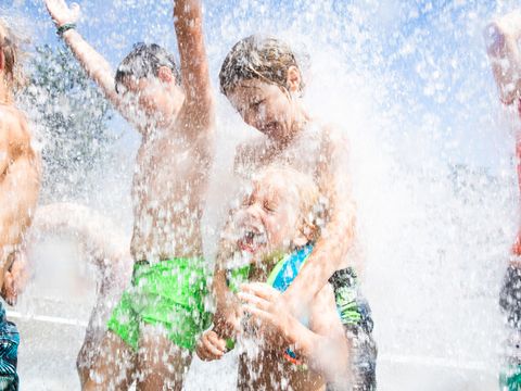 RCN Vakantiepark het Grote Bos - Camping Utrecht