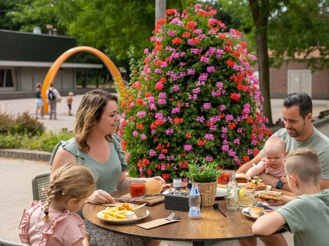 RCN Vakantiepark het Grote Bos - Camping Utrecht - Image N°11