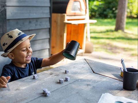 RCN Vakantiepark het Grote Bos - Camping Utrecht - Image N°17