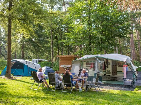 RCN Vakantiepark het Grote Bos - Camping Utrecht - Image N°16