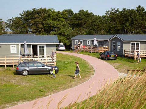 Texelcamping Loodsmansduin - Camping Texel - Afbeelding N°3