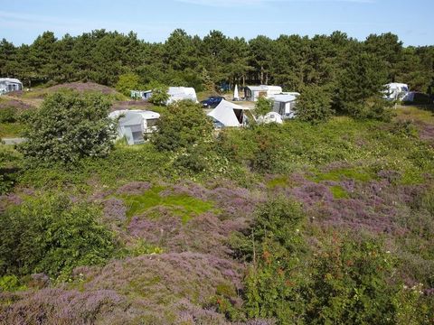 Texelcamping Loodsmansduin - Camping Texel - Afbeelding N°5