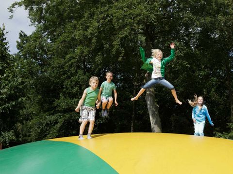 Molecaten Park 't Hout - Camping Opsterland - Image N°19