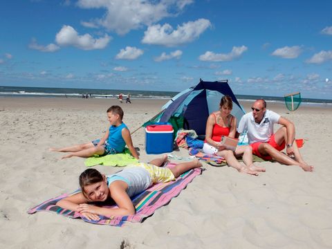 Bungalowpark 't Hoogelandt - Camping Texel - Image N°4