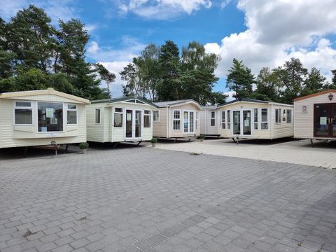 Verblijfpark Breebos - Camping Anvers - Image N°39