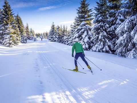 Landal Chalet Matin - Camping Vorarlberg - Image N°17