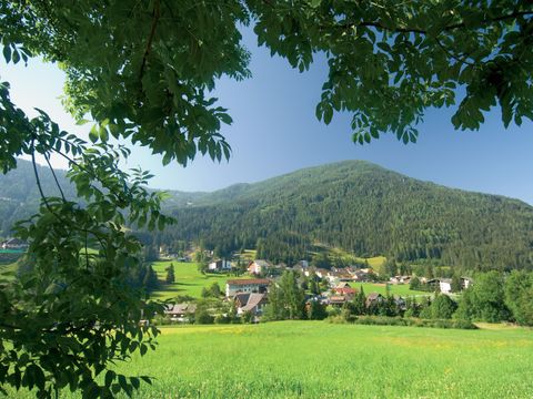 Landal Alpen Chalets Bad Kleinkirchheim - Camping Carinthie - Image N°11