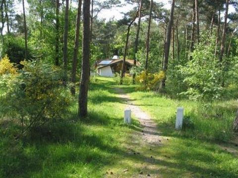 Hogenboom Vakantiepark Herperduin - Camping Oss - Image N°18