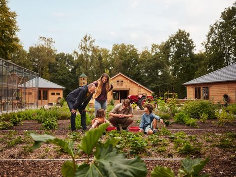 Center Parcs Park Allgäu - Camping Bade-Wurtemberg - Image N°56