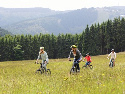 Center Parcs Park Hochsauerland - Camping Noordrijn-Westfalen - Afbeelding N°3