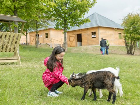 Center Parcs Park Hochsauerland - Camping Rhénanie du Nord-westphalie - Image N°3