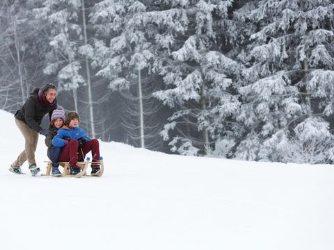 Center Parcs Park Hochsauerland - Camping Rhénanie du Nord-westphalie - Image N°59