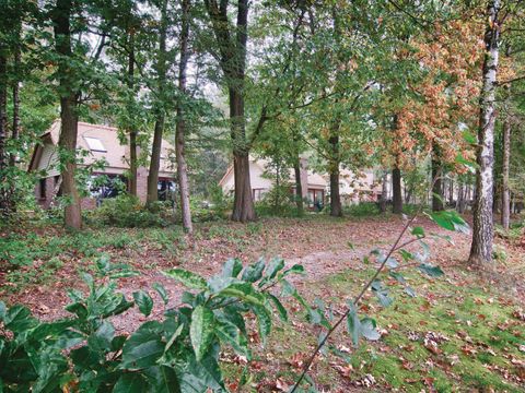 Novasol Vakantiepark Vijverdorp - Camping Limbourg - Image N°11