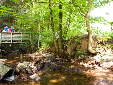 Hunsrück Ferienpark Hambachtal - Camping Rijnland-Palts - Image N°38