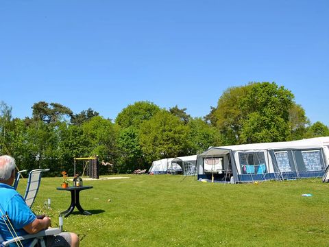 Oostappen park Heelderpeel - Camping Maasgouw - Image N°18