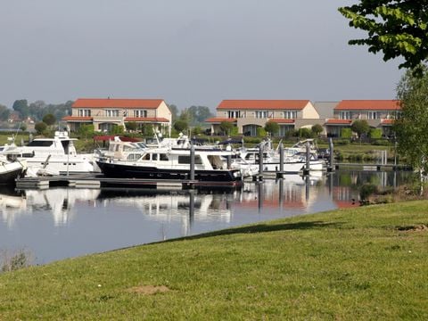 Maaspark Boschmolenplas - Camping Maasgouw - Image N°4