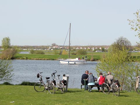 Maaspark Boschmolenplas - Camping Maasgouw - Image N°25