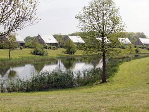 Maaspark Boschmolenplas - Camping Maasgouw - Image N°5