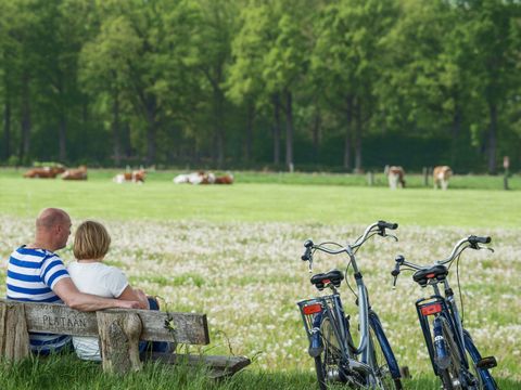 Landgoed Ruwinkel - Camping Scherpenzeel - Image N°20