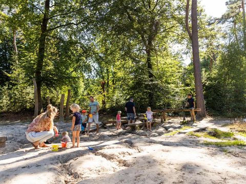 Vakantiepark De Norgerberg - Camping Noordenveld - Image N°60