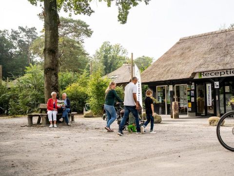 Vakantiepark De Norgerberg - Camping Noordenveld - Image N°77