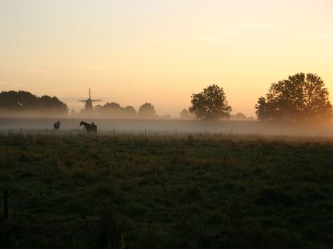 Hof van Salland - Camping Hellendoorn - Image N°3