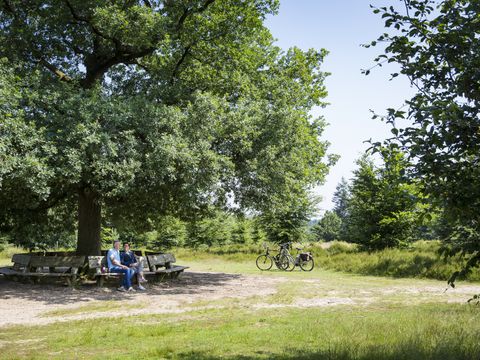 Landal Amerongse Berg - Camping Utrecht - Image N°39