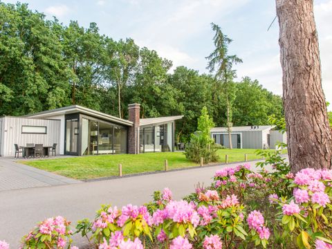 Landal Amerongse Berg - Camping Utrecht - Image N°13