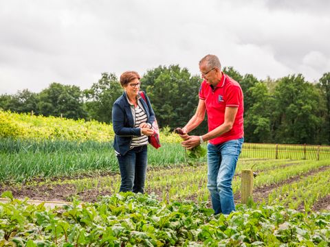 Landal Amerongse Berg - Camping Utrecht - Image N°46