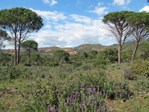 Les Domaines de Saint Endréol - Camping Var - Image N°30