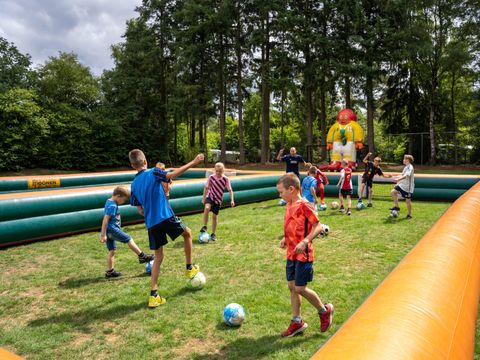 Recreatiepark De Paalberg - Camping Ermelo - Image N°35