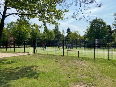 Recreatiepark De Paalberg - Camping Ermelo - Image N°21