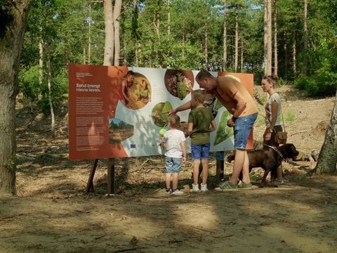 Park Molenheide - Camping Belgisch Limburg - Image N°24