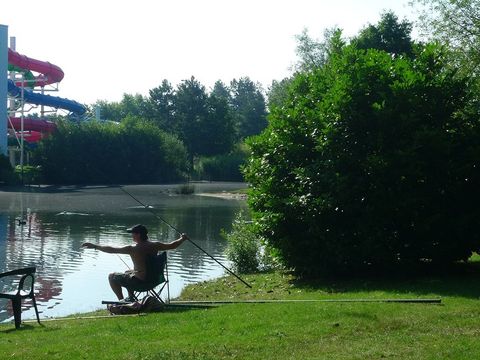 Park Molenheide - Camping Limbourg Belge - Image N°37